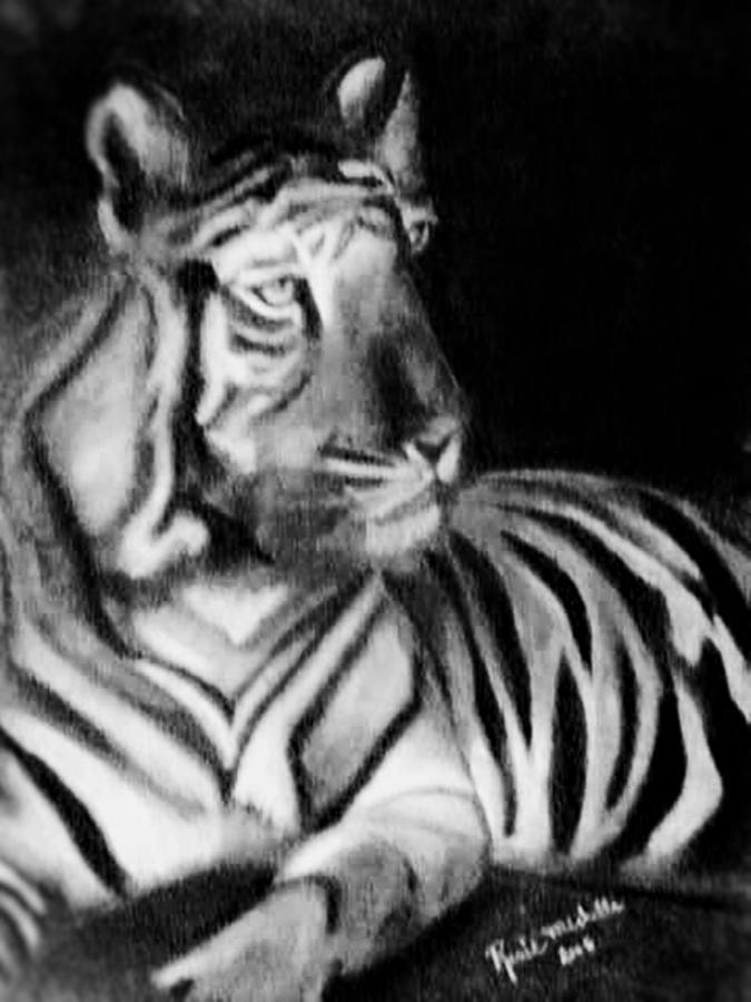 Tiger in Black and White Drawing by Renee Michelle Wenker
