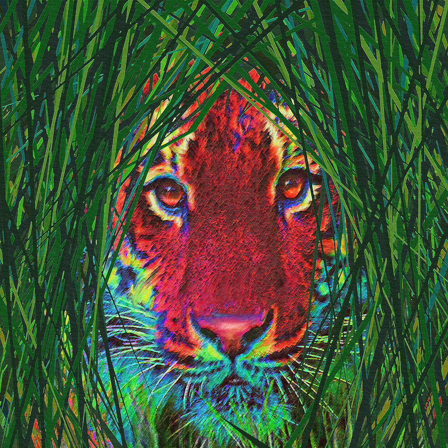 Tiger Digital Art - Tiger In The Grass by Jane Schnetlage