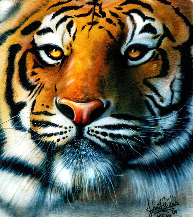 Tiger Painting by John F Willis - Fine Art America