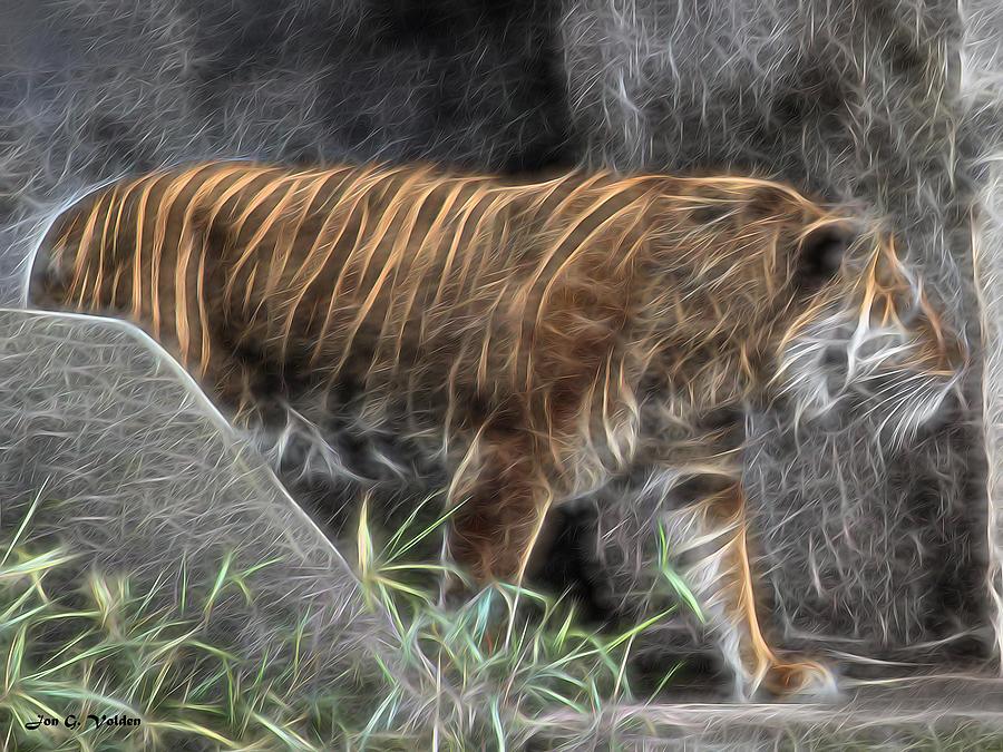 Tiger Light Painting by Jon Volden