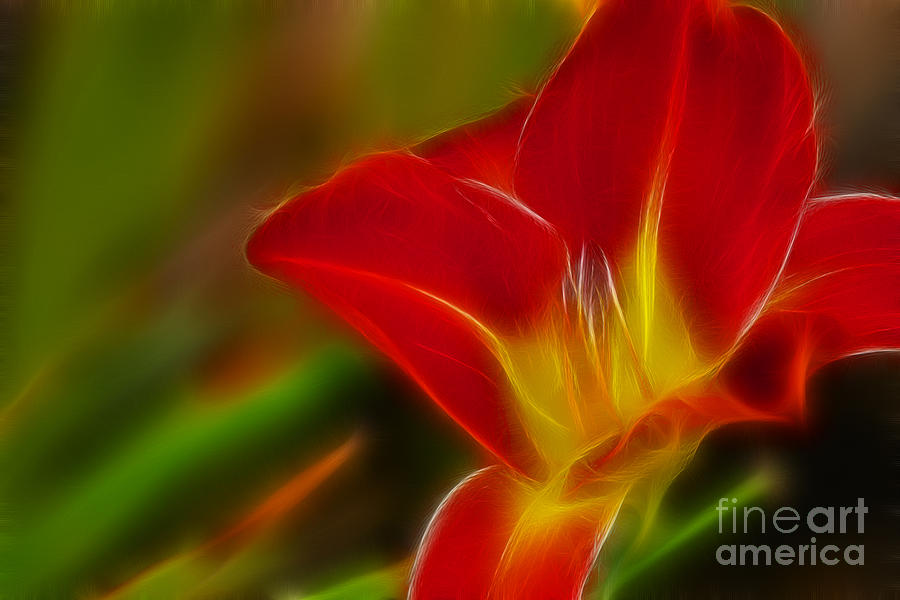 Flower Photograph - Tiger Lily 6053-Fractal by Gary Gingrich Galleries