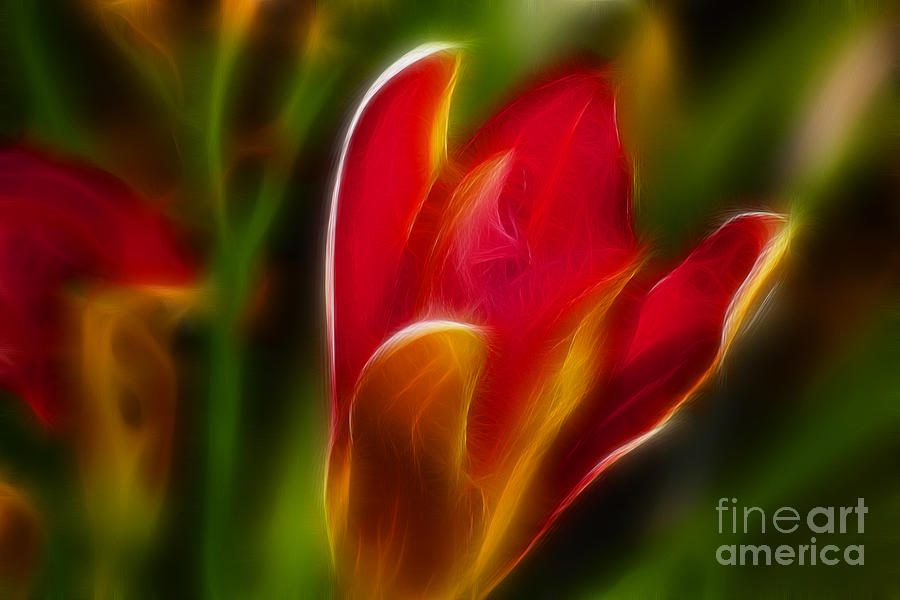 Flower Photograph - Tiger Lily 6074-Fractal by Gary Gingrich Galleries