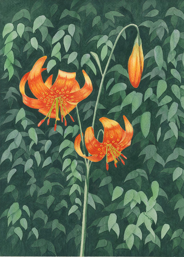 Tiger Lily Painting by Timothy Livingston