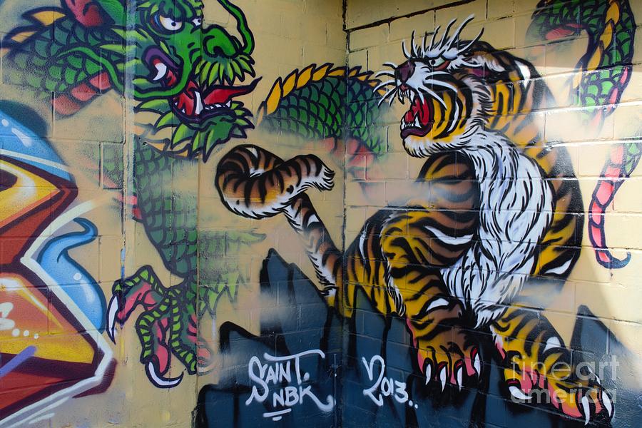 San Antonio Photograph - Tiger by Lne Kirkes