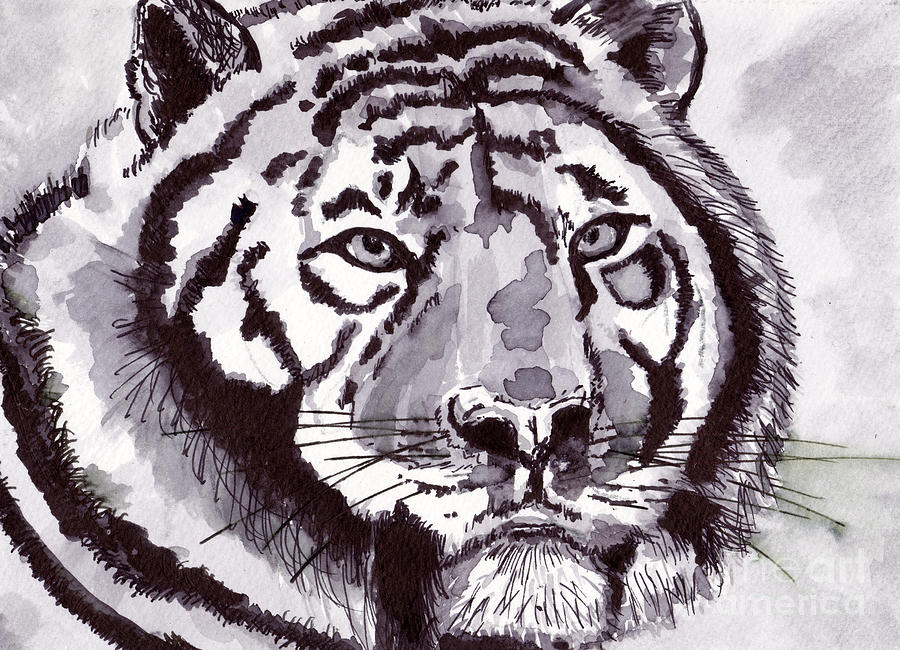 Wildlife Painting - Tiger by Michael Rados Wildlife Painting - Tiger by Michael Rados