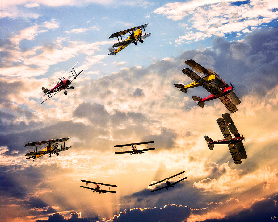 Tiger Moth Ballet Photograph by Chris Lord