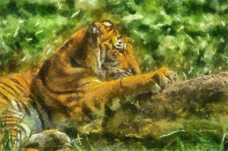 Wildlife Photograph - Tiger Photo Art 01 by Thomas Woolworth