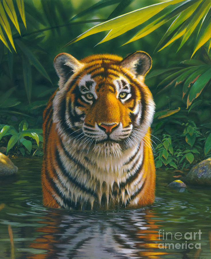 Animal Photograph - Tiger Pool by MGL Meiklejohn Graphics Licensing