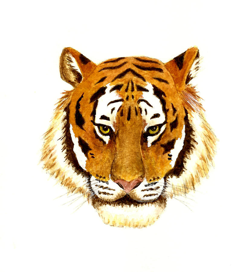 Animal Painting - Tiger Portrait by Michael Vigliotti