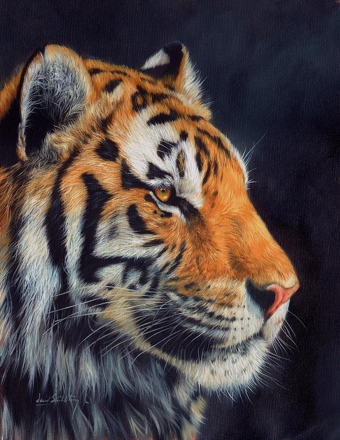 Wildlife Painting - Tiger profile by David Stribbling