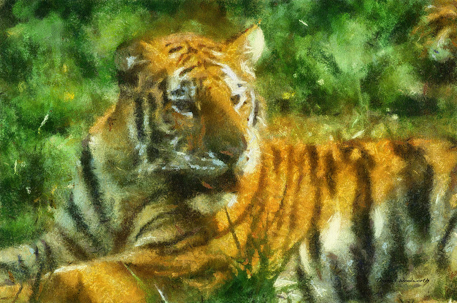 Wildlife Photograph - Tiger Resting Photo Art 02 by Thomas Woolworth