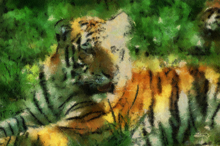 Wildlife Photograph - Tiger Resting Photo Art 03 by Thomas Woolworth