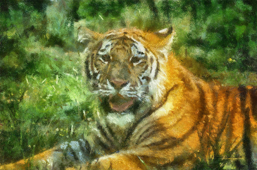 Wildlife Photograph - Tiger Resting Photo Art 05 by Thomas Woolworth