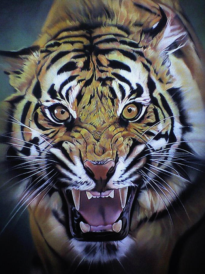 Roar tiger The Roar