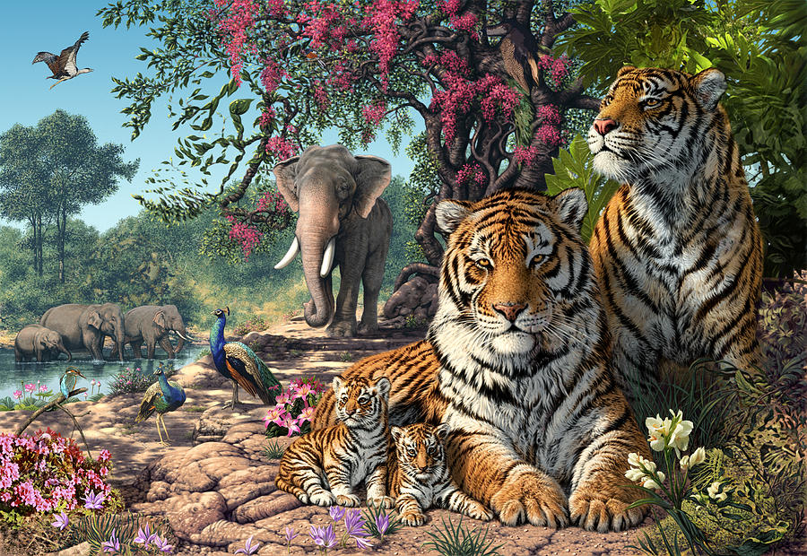 Tiger Sanctuary Photograph by MGL Meiklejohn Graphics Licensing