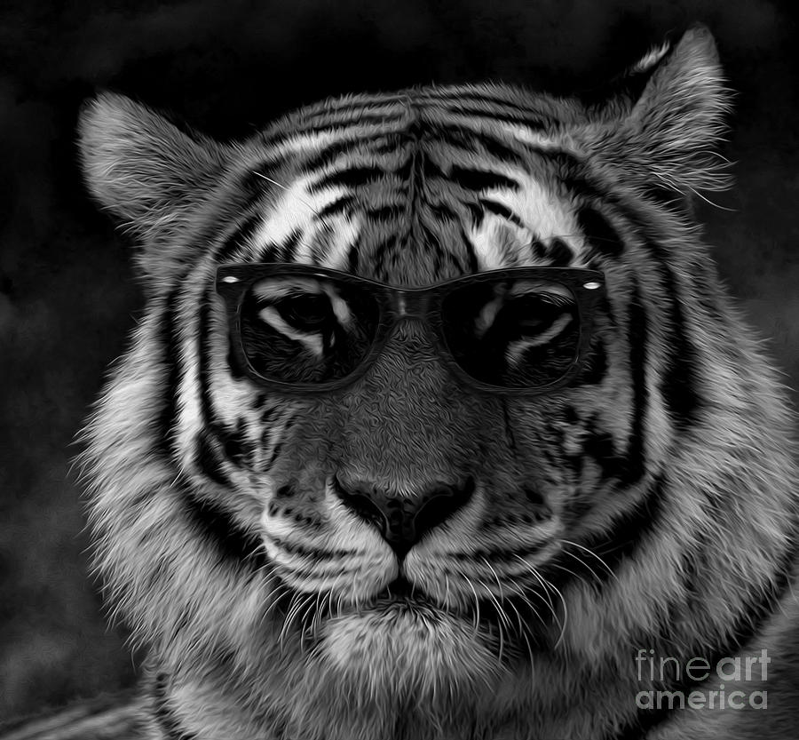 Tiger Style Photograph by Jerry Hart