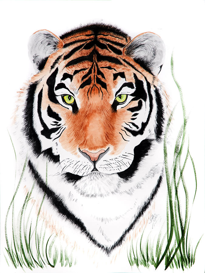 Tiger Tiger Where Painting by Joette Snyder