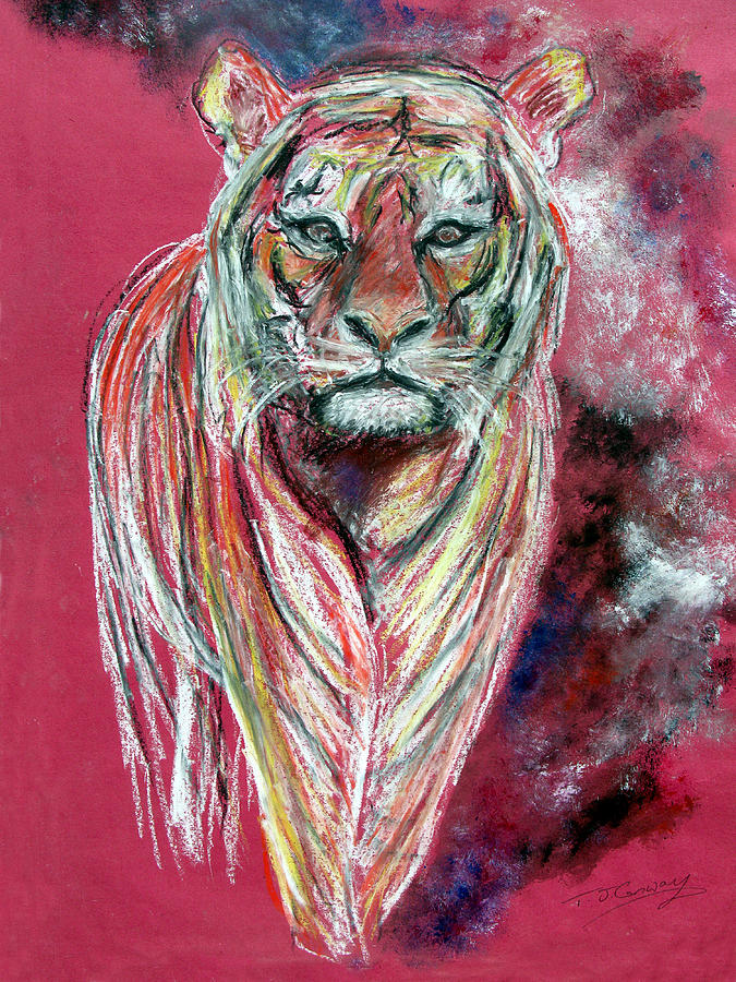 Tiger Drawing by Tom Conway