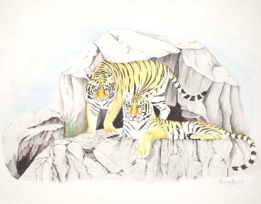 Wildlife Painting - Tiger Twins by Dag Sla