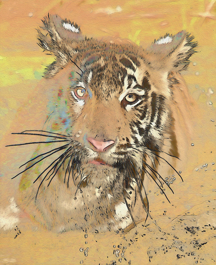 Tiger Photograph by Wade Aiken