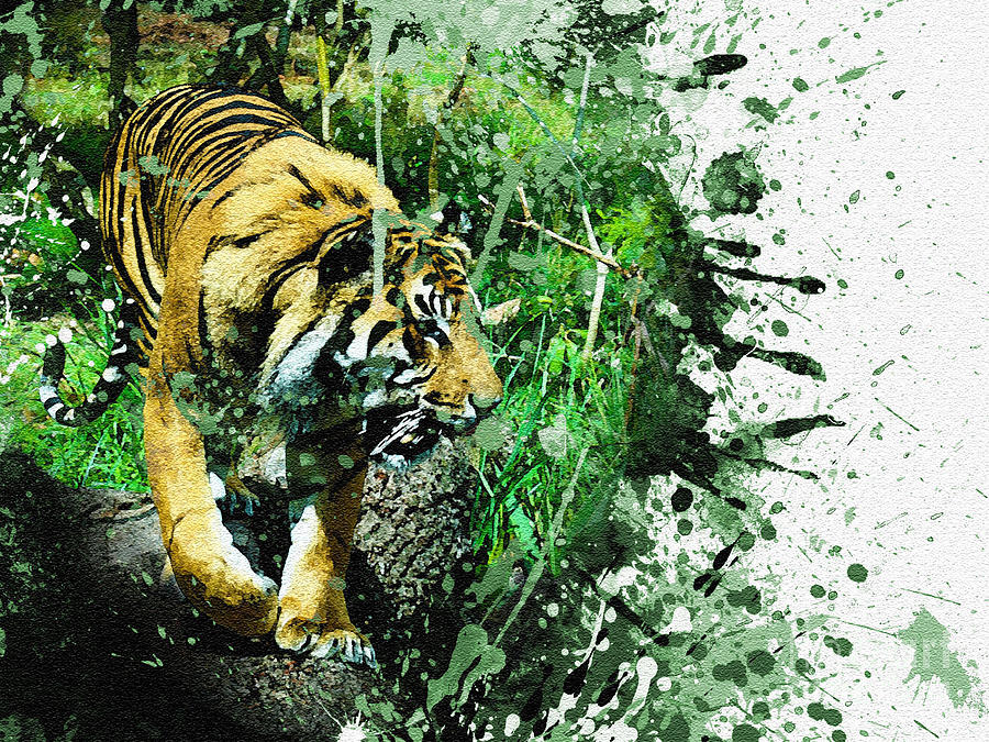 Tiger walk Digital Art by Roger Lighterness