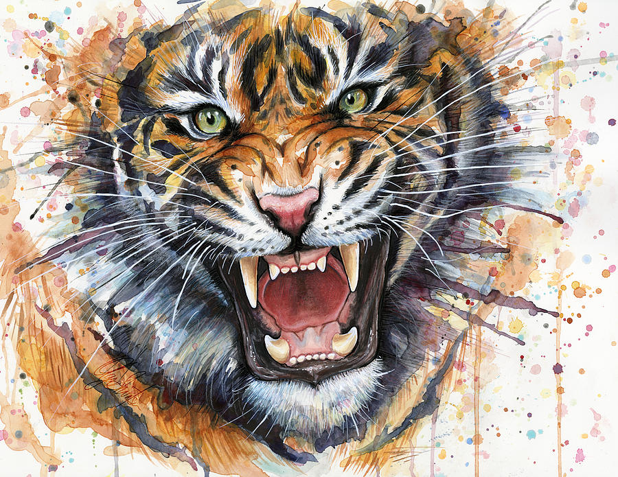 Tiger Watercolor Portrait Painting by Olga Shvartsur