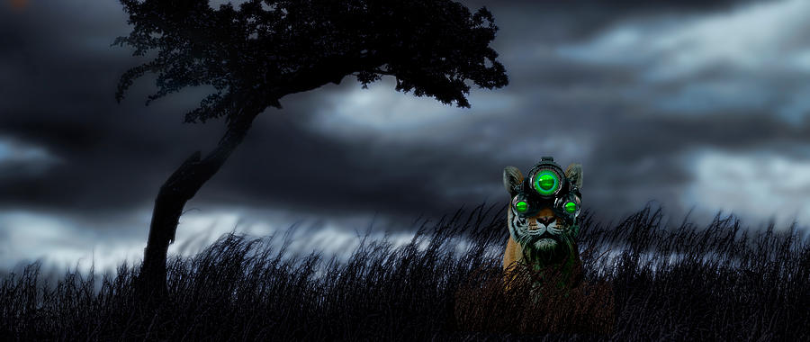 Tiger Wearing Night Vision Goggles Photograph by Panoramic Images