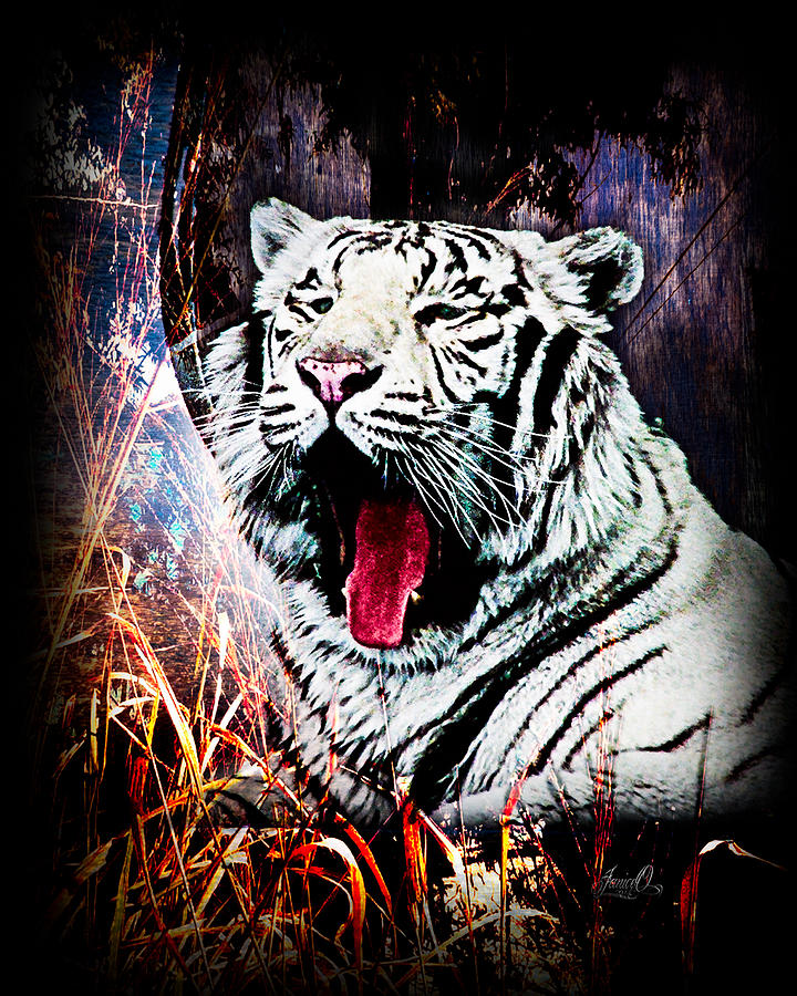 Tiger White Digital Art by Janice OConnor