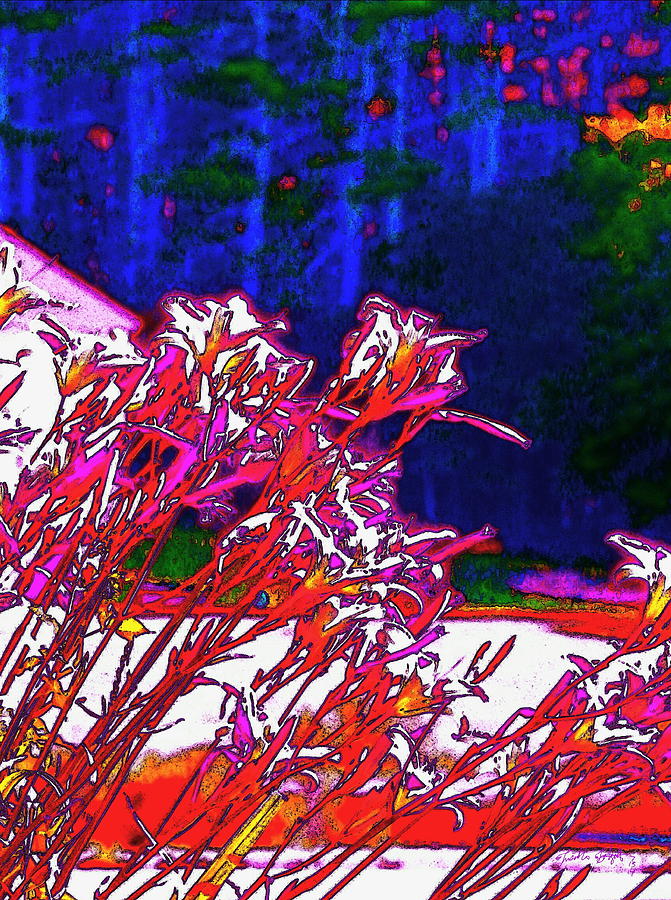 Tigerlilies  Digital Art by Priscilla Batzell Expressionist Art Studio Gallery