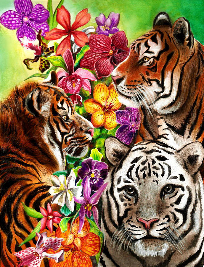 Tigers And Flowers Beautiful Jungle Artwork Drawing by Sonja Funnell