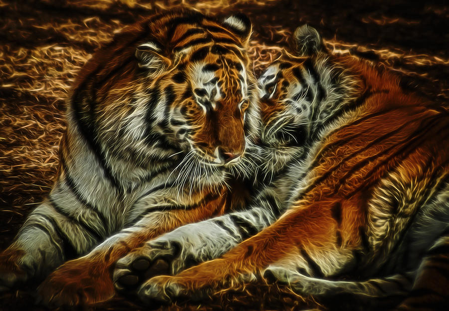 Tigers Digital Art Digital Art by Ernest Echols