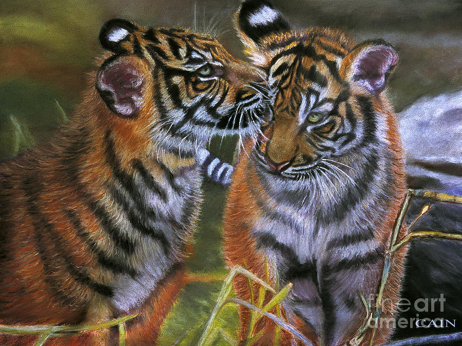 Tigers In Love Large Art Print Painting by William Cain
