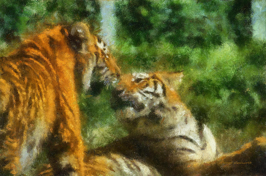 Wildlife Photograph - Tigers Kissing Photo Art by Thomas Woolworth