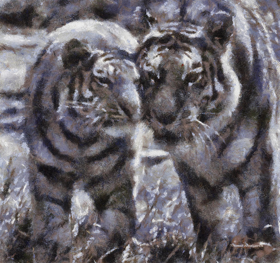 Wildlife Photograph - Tigers Photo Art 02 by Thomas Woolworth