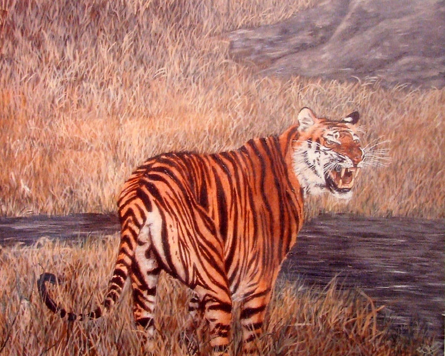 Tigers Warning  Painting by Mackenzie Moulton