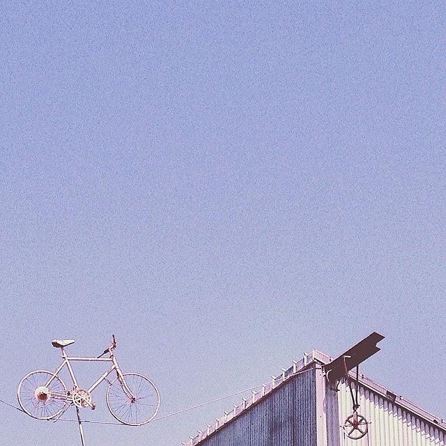 Bicycle Photograph - Tightrope Cycle  by Alison Photography