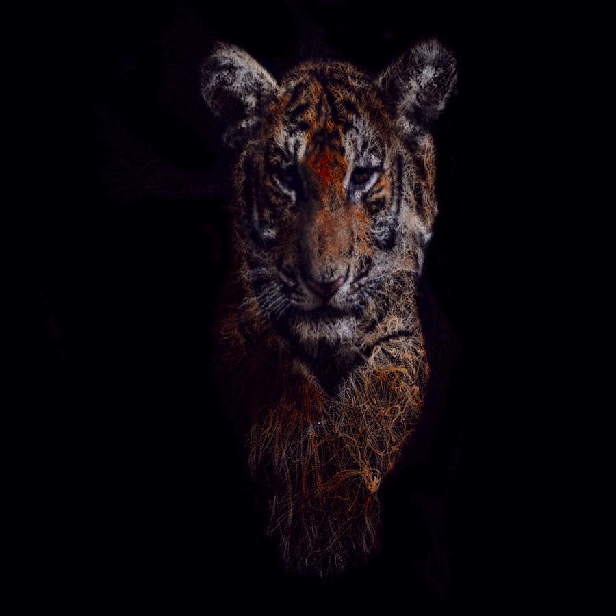 Tigris Digital Art by Mark Taylor