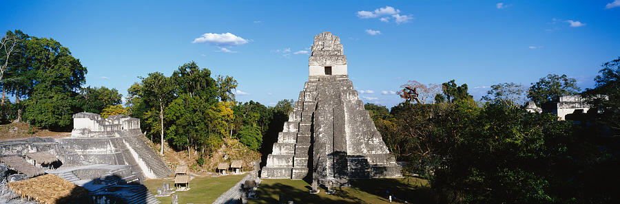 Tree Photograph - Tikal, Guatemala, Central America by Panoramic Images
