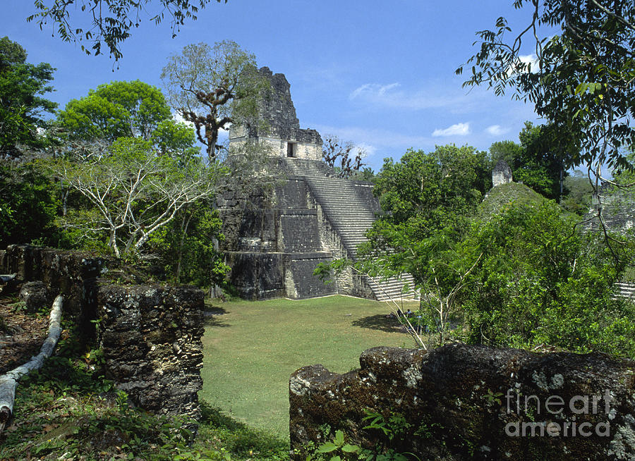 Tikal Guatemala Photograph by Craig Lovell