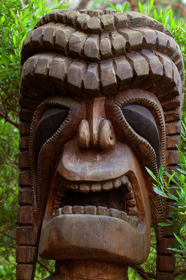 Tiki, Kula Botanical Garden, Upcountry Photograph by Douglas Peebles ...