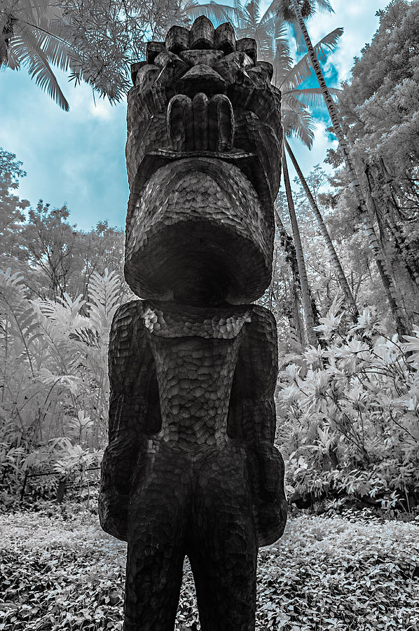 Tiki Man in Infrared Photograph by Jason Chu