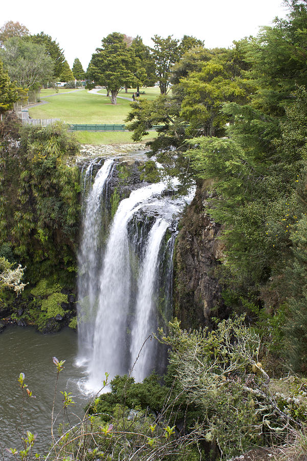 Tikipunga Falls New Zealand Photograph by Venetia Featherstone-Witty