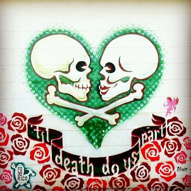 Rose Photograph - Til Death Do Us by Gia Marie Houck