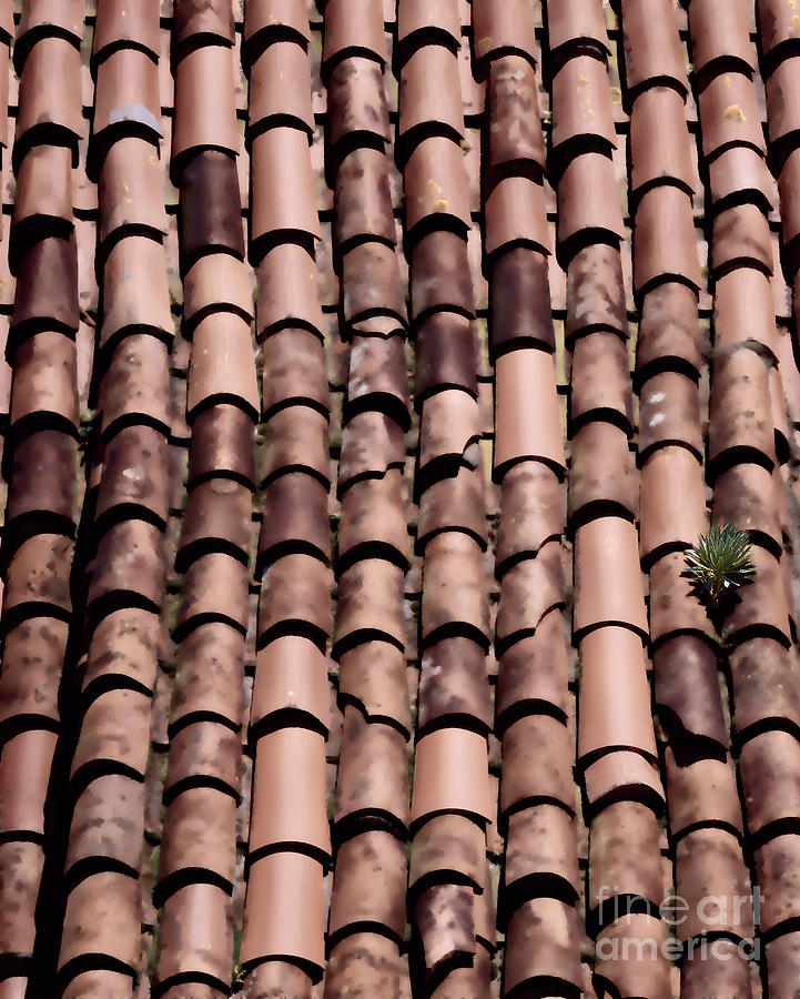 Tile Roof in a Spanish Village Photograph by Louise Heusinkveld
