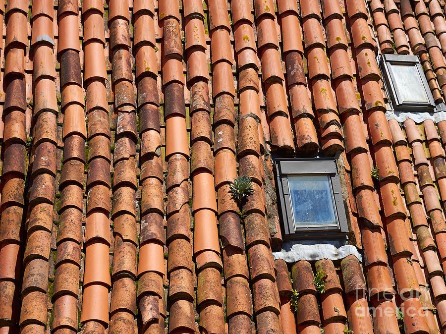 Tile Roof Photograph by Louise Heusinkveld
