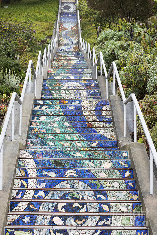 Tiled Steps Photograph by David Bearden