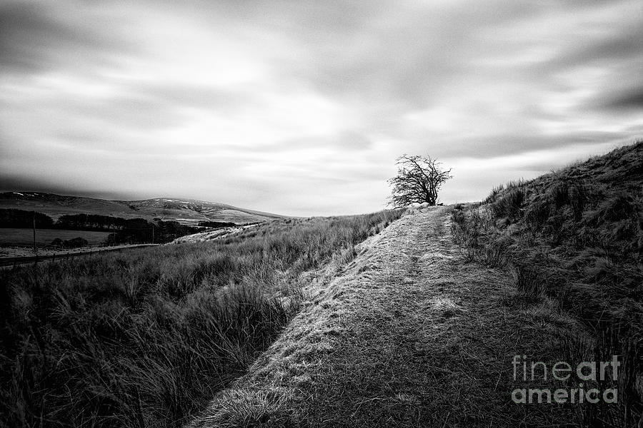 Tree Photograph - Till the world stops turning by John Farnan