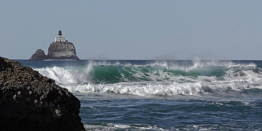 Tillamook Head Wind and Wave Photograph by Wes and Dotty Weber