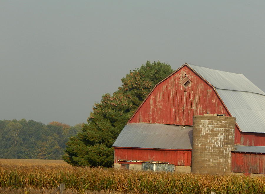 Tilted Barn Photograph by Wild Thing