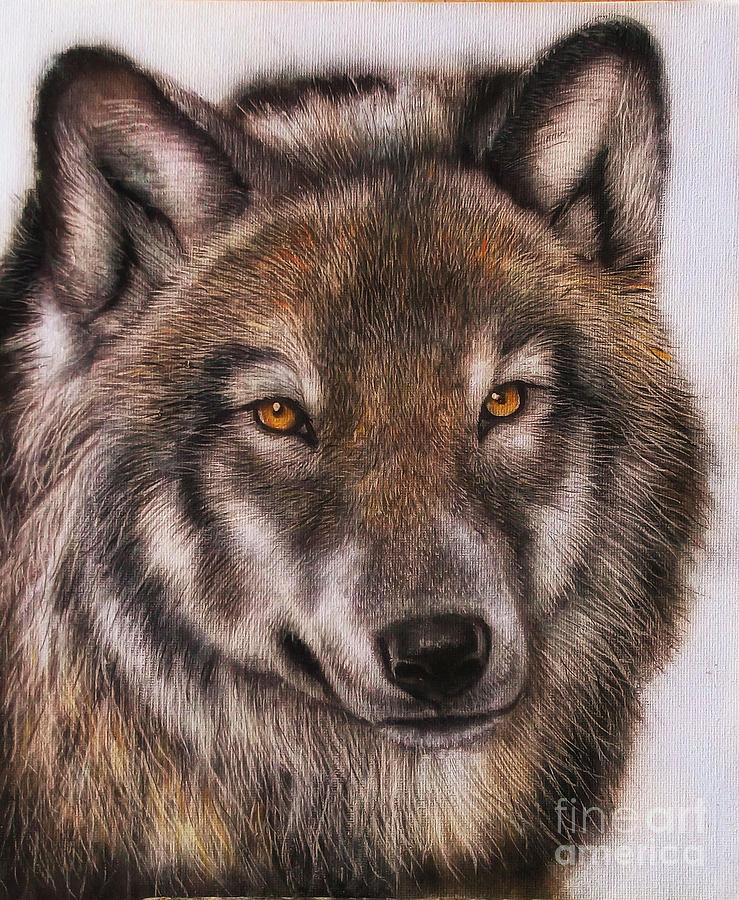 Timber Wolf Painting by Adrian Jones - Fine Art America